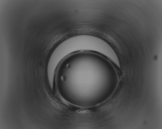 X0000095680452200801151129