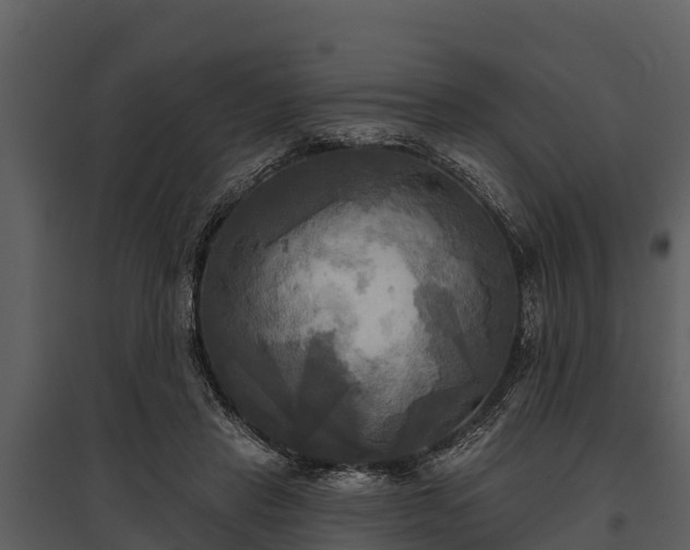 X0000095680453200801151129