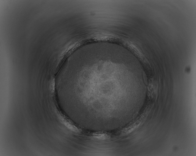 X0000095680454200801151129