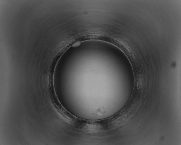 X0000095680455200801151129
