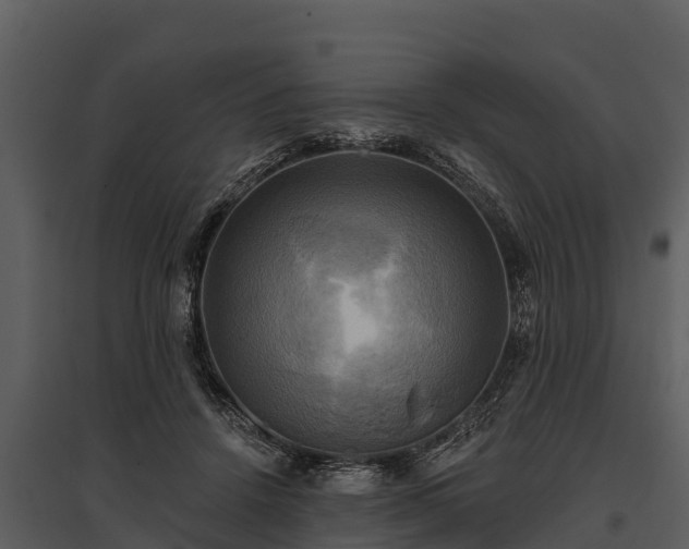 X0000095680456200801151129