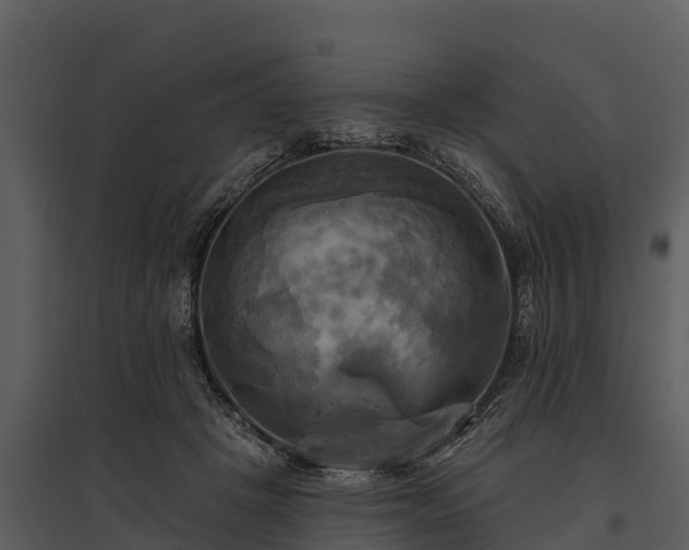 X0000095680457200801151129