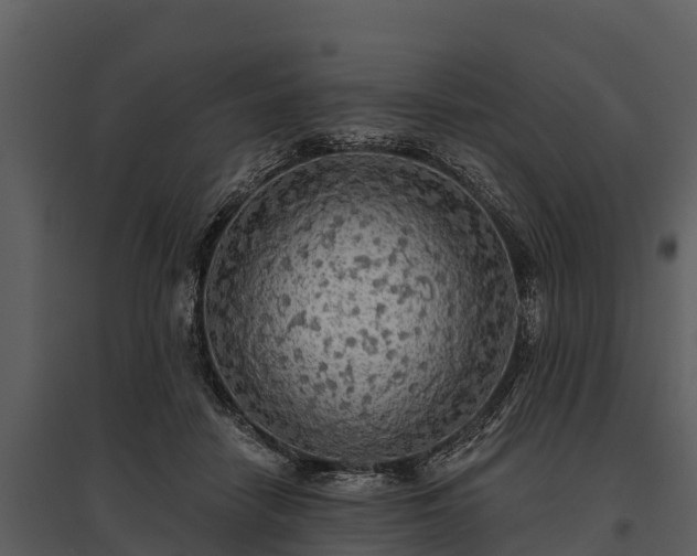 X0000095680458200801151129