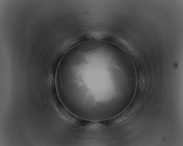 X0000095680459200801151129