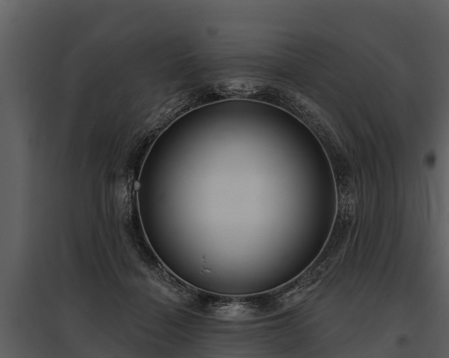 X0000095680460200801151129