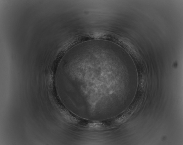 X0000095680461200801151129