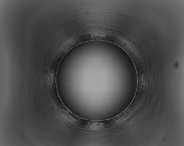 X0000095680463200801151129
