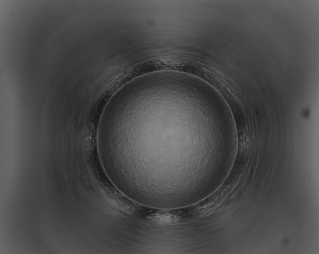 X0000095680464200801151129