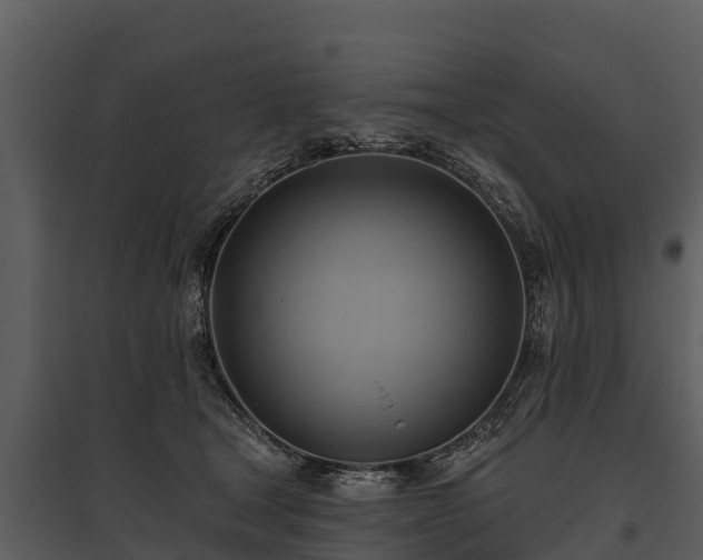 X0000095680465200801151129