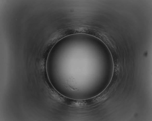 X0000095680466200801151129