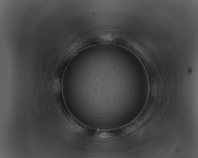 X0000095680467200801151129