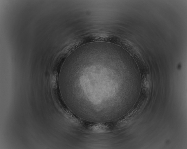 X0000095680468200801151129