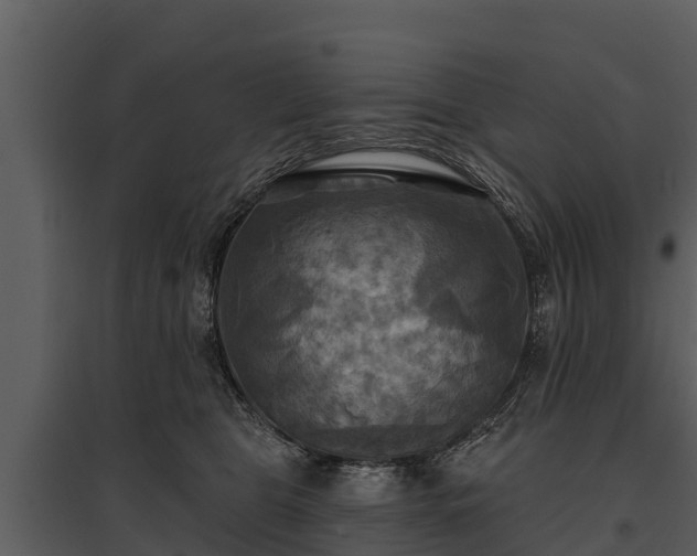 X0000095680469200801151129