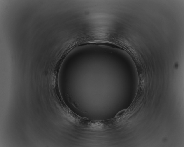 X0000095680471200801151130