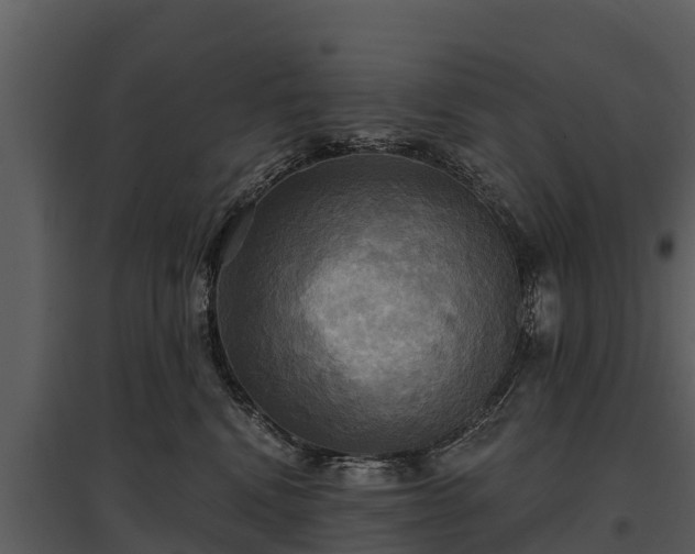 X0000095680472200801151130