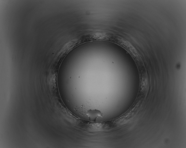 X0000095680473200801151130