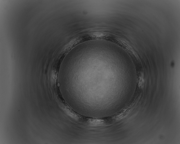 X0000095680476200801151130