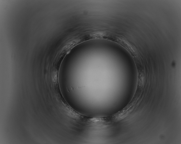 X0000095680477200801151130