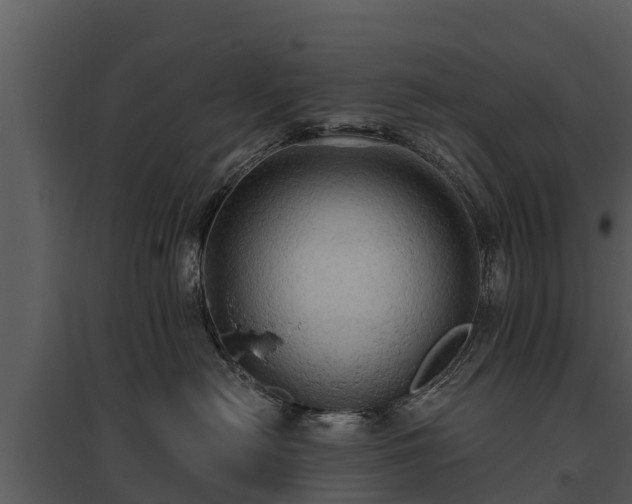 X0000095680478200801151130