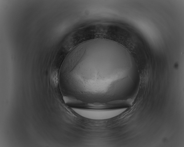 X0000095680479200801151130