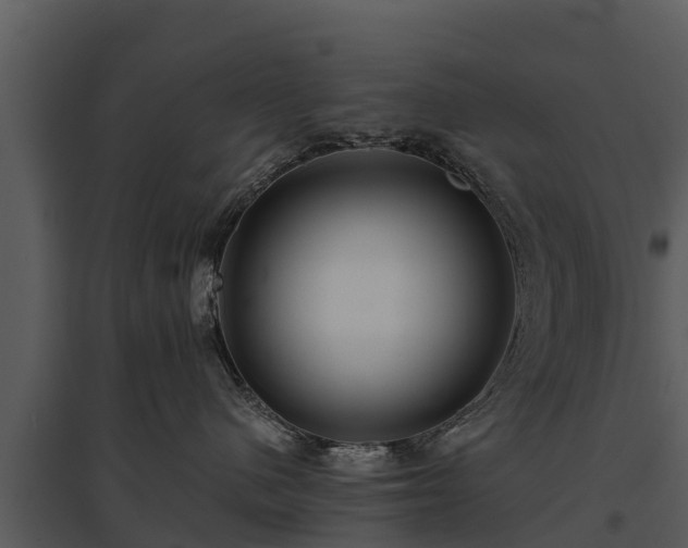 X0000095680480200801151130