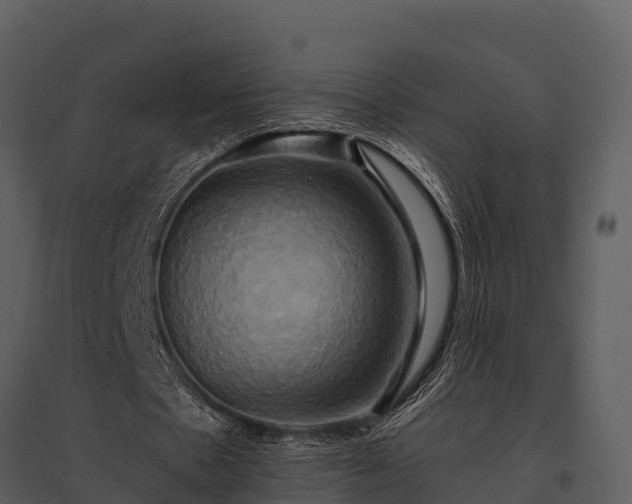 X0000095680481200801151129