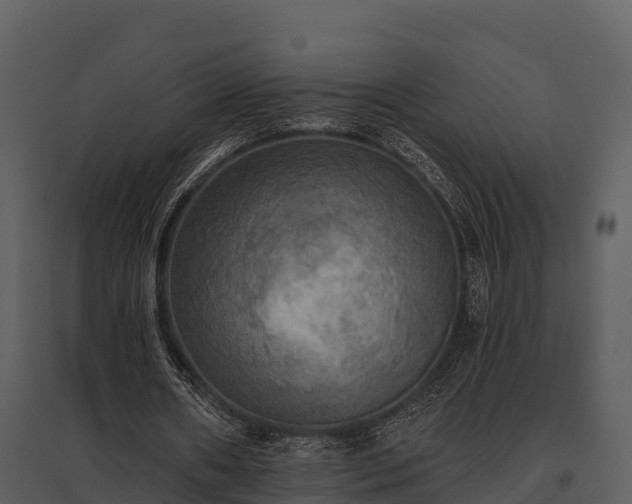 X0000095680482200801151129
