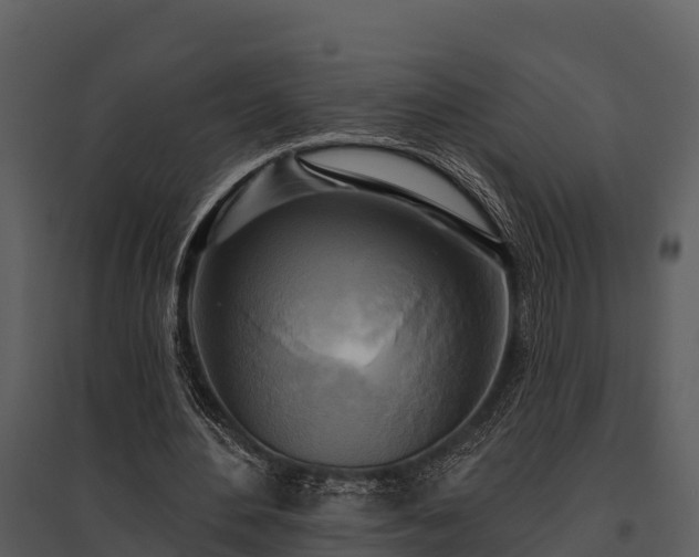 X0000095680484200801151129