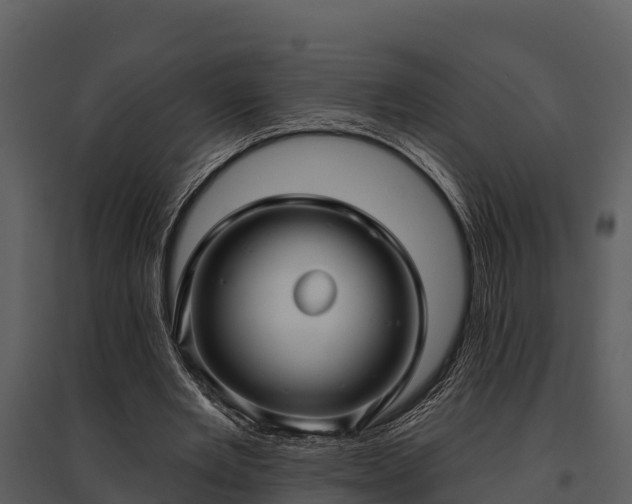 X0000095680485200801151129