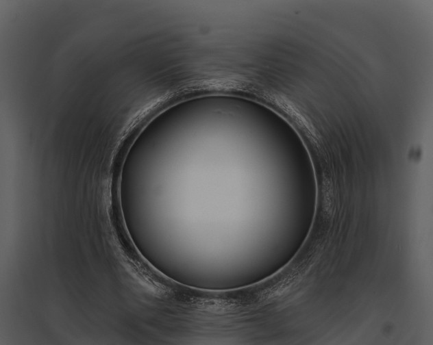 X0000095680486200801151129
