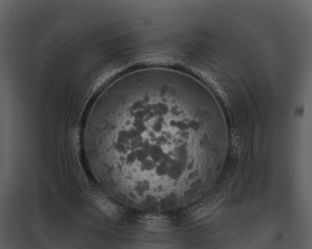 X0000095680487200801151129
