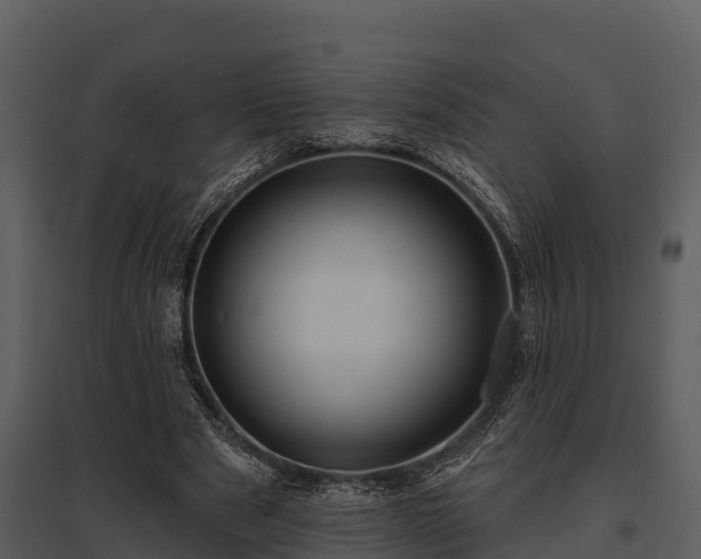 X0000095680489200801151129