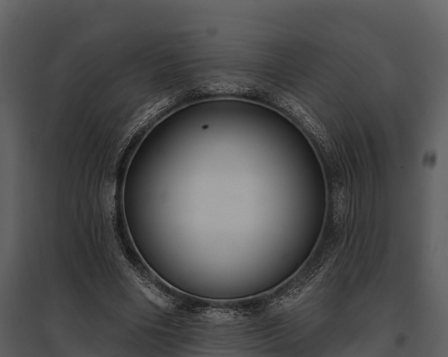 X0000095680490200801151129