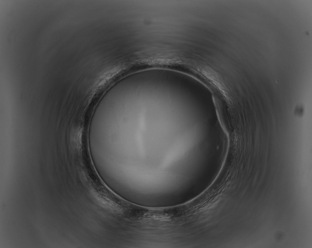 X0000095680491200801151129