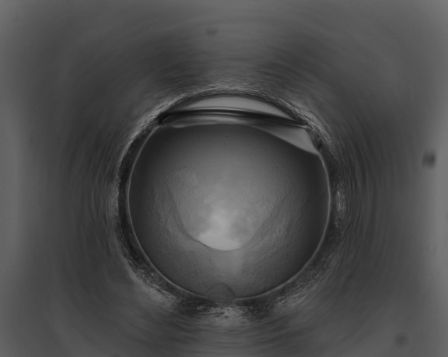 X0000095680492200801151129