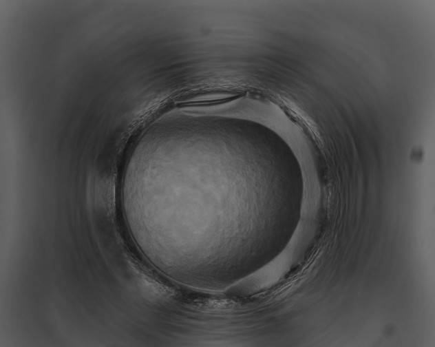 X0000095680493200801151129