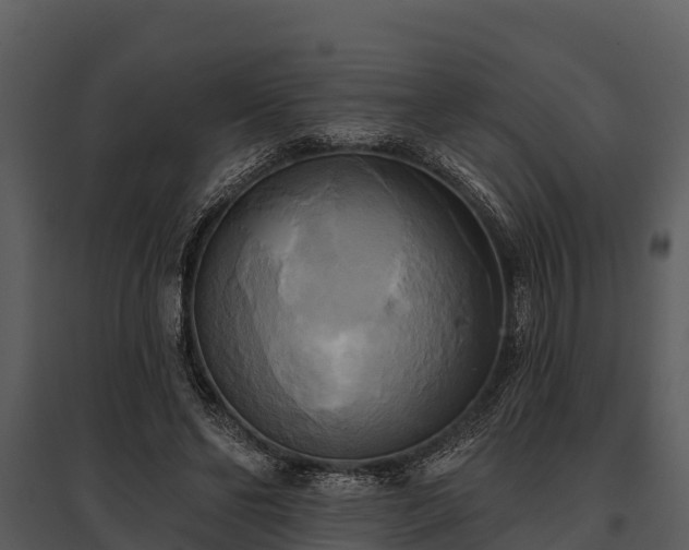 X0000095680494200801151129