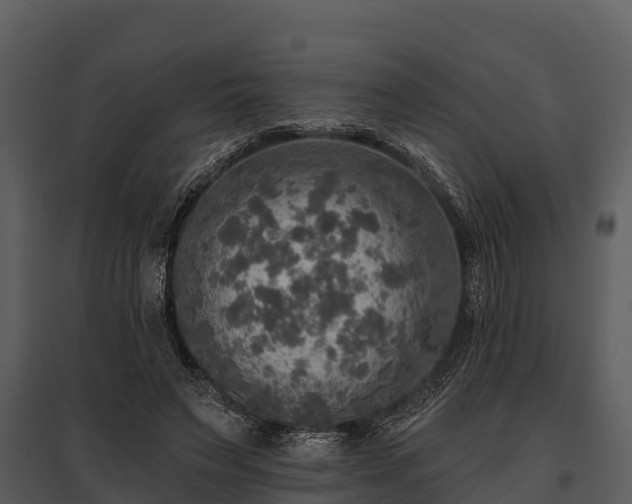 X0000095680495200801151129