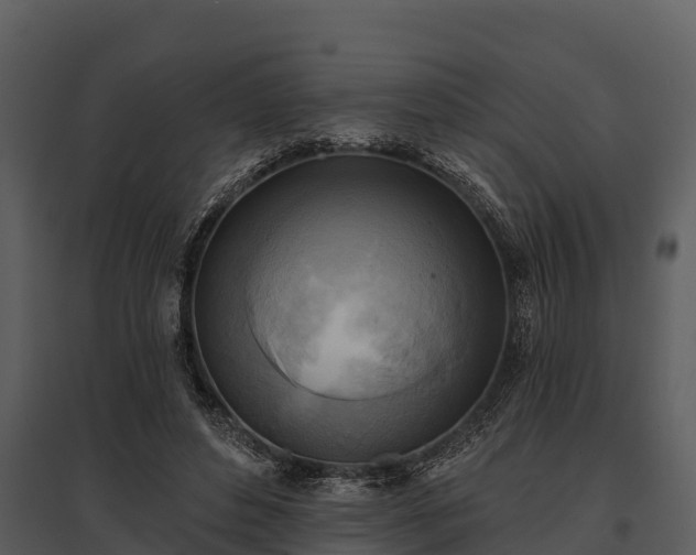 X0000095680496200801151129