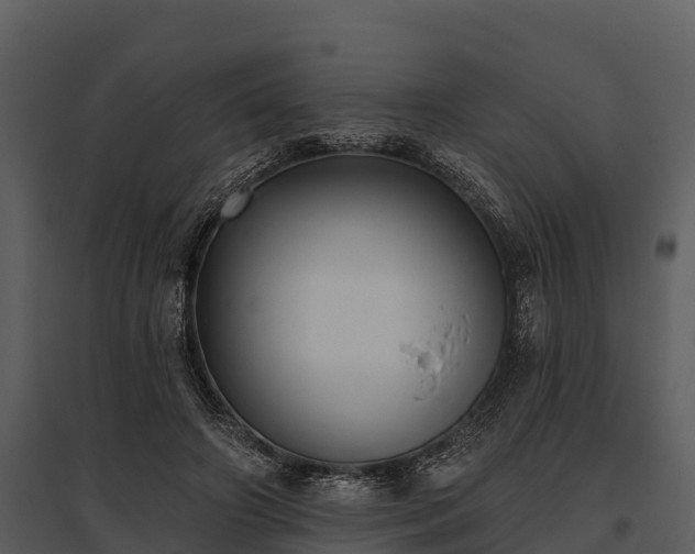 X0000095680498200801151129