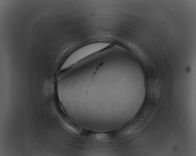 X0000095680501200801151129