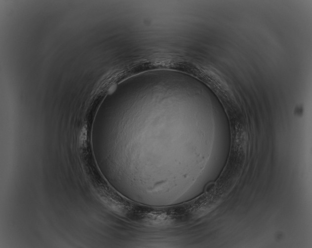 X0000095680502200801151129
