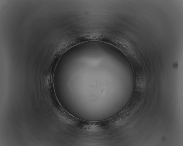 X0000095680503200801151129
