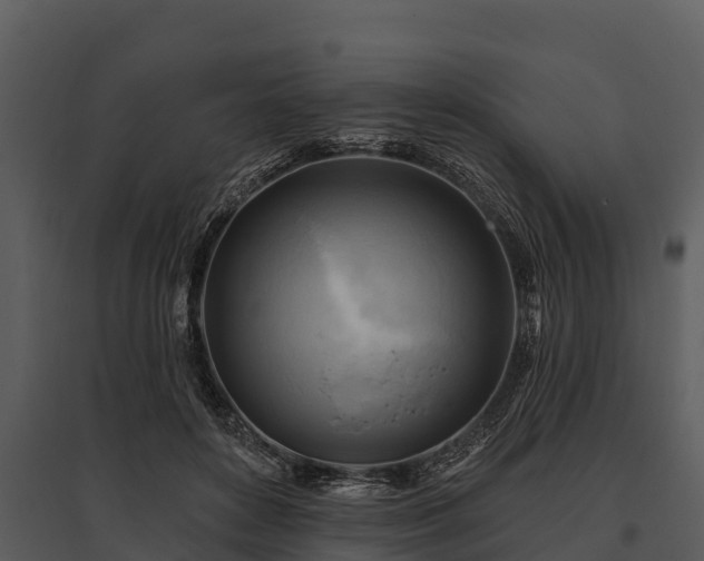 X0000095680504200801151129