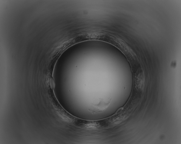 X0000095680505200801151129