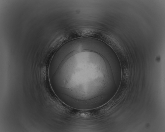 X0000095680506200801151129