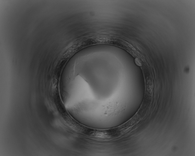 X0000095680507200801151129