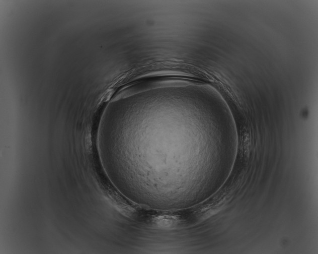 X0000095680508200801151129