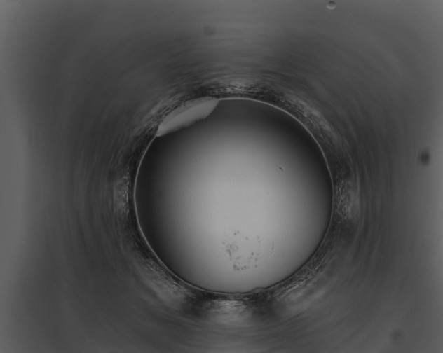 X0000095680509200801151129