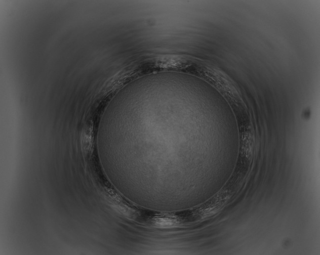 X0000095680510200801151129